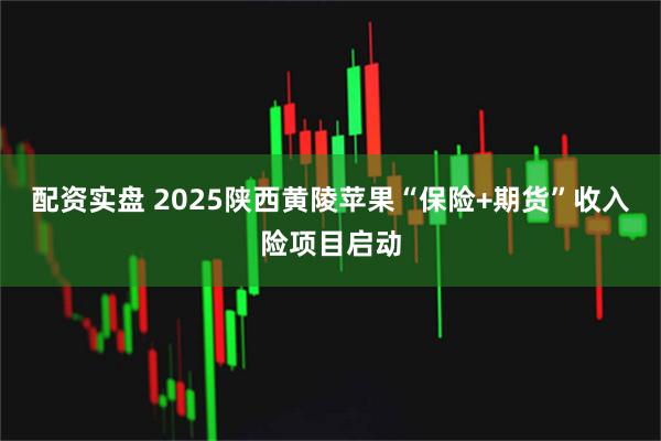 配资实盘 2025陕西黄陵苹果“保险+期货”收入险项目启动