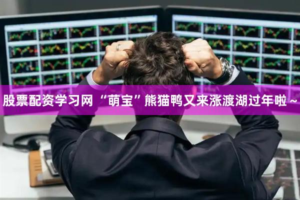 股票配资学习网 “萌宝”熊猫鸭又来涨渡湖过年啦～