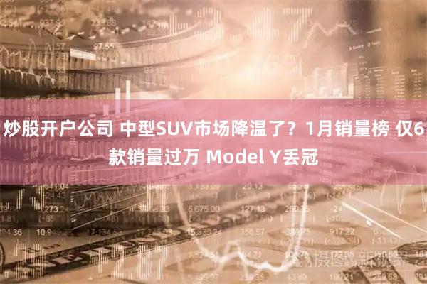 炒股开户公司 中型SUV市场降温了？1月销量榜 仅6款销量过万 Model Y丢冠